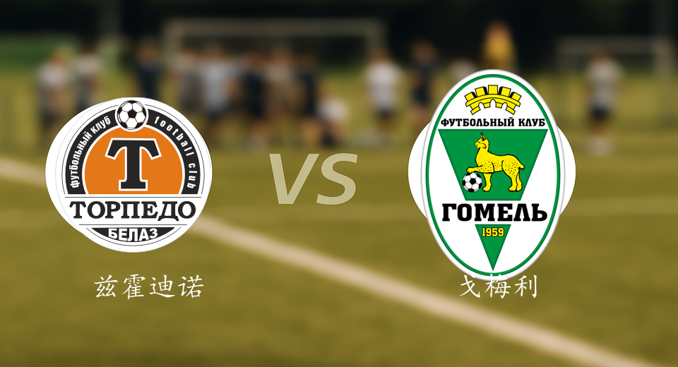 白俄超前瞻：2025年08月03日兹霍迪诺VS戈梅利赛前预测